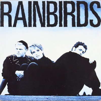 Rainbirds - Rainbirds cb9-54i фото